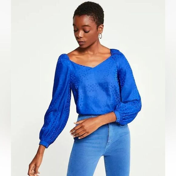 Ann Taylor sz S cobalt blue tone on tone animal print long sleeve blouse - Picture 2 of 8